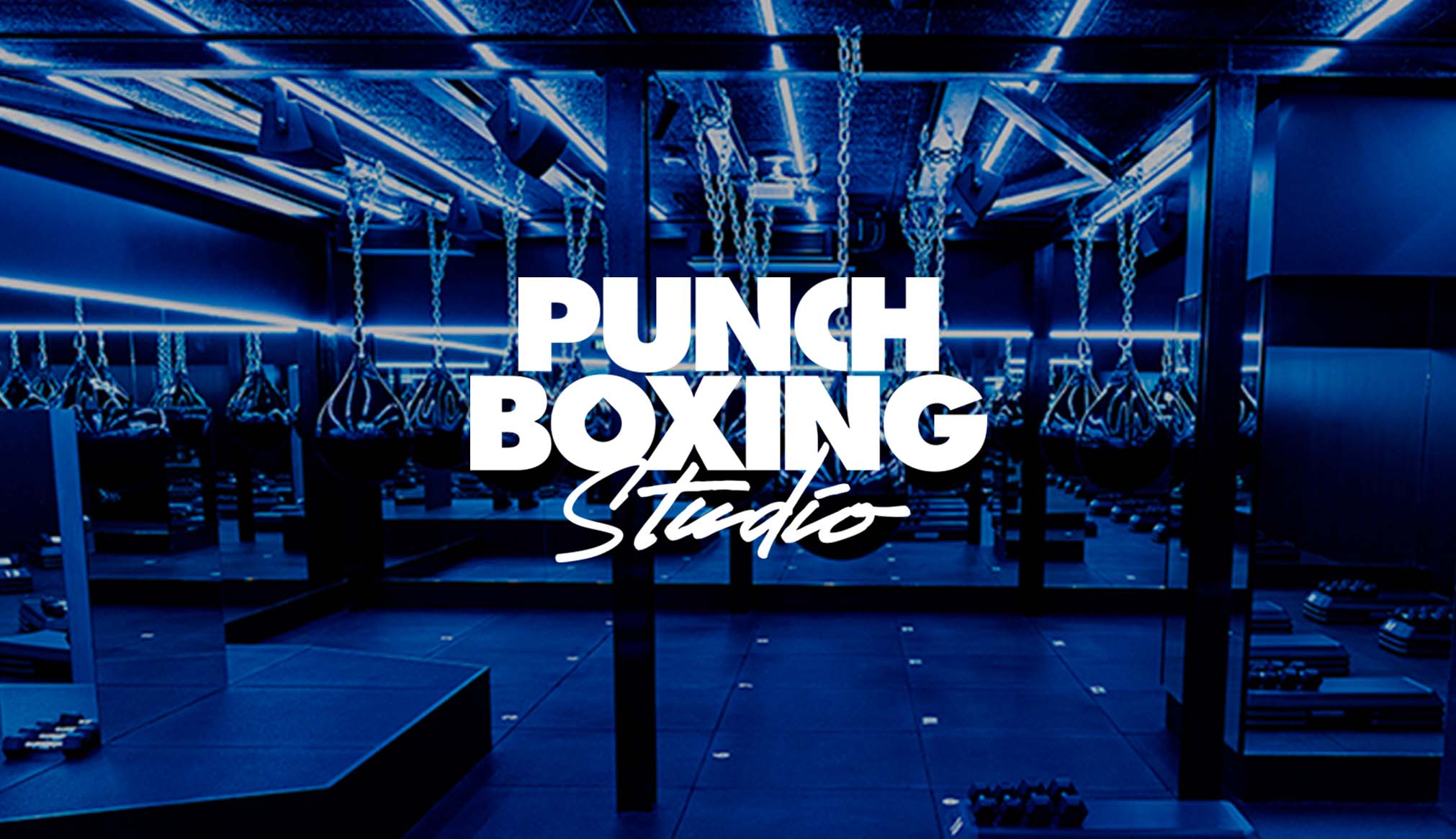 Punch Boxing